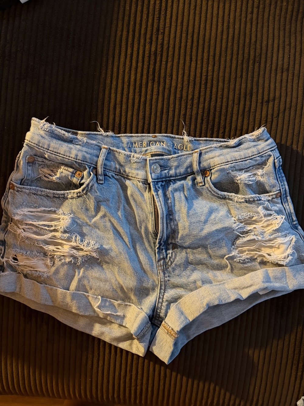 American Eagle Outfitters Light Blue Ripped Denim Shorts